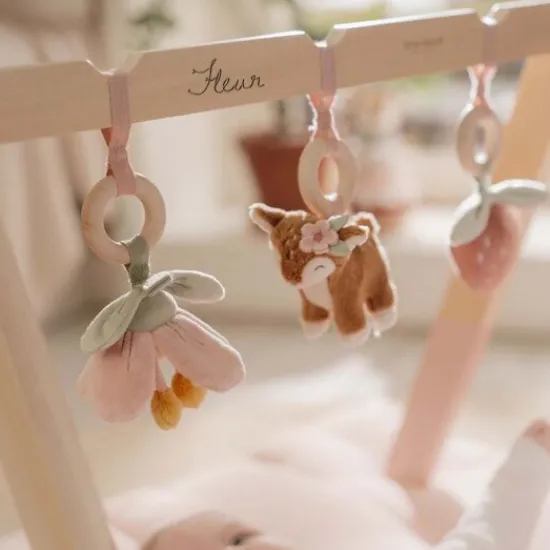 Kraamcadeau Babygym - Fairy Garden- Little Dutch