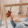 Kraamcadeau Babygym - Forest Friends - Little Dutch