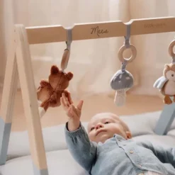 Kraamcadeau Babygym - Forest Friends - Little Dutch