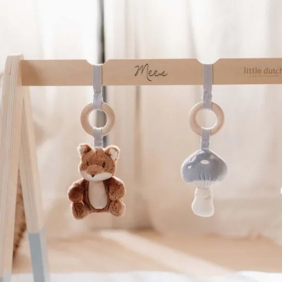 Kraamcadeau Babygym - Forest Friends - Little Dutch