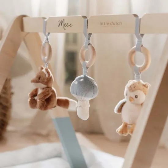 Kraamcadeau Babygym - Forest Friends - Little Dutch