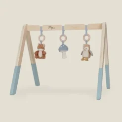 Kraamcadeau Babygym - Forest Friends - Little Dutch