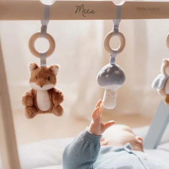 Kraamcadeau Babygym - Forest Friends - Little Dutch