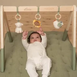 Kraamcadeau Babygym - Little Dutch