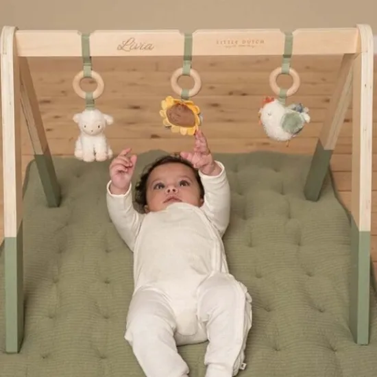 Kraamcadeau Babygym - Little Dutch