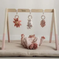 Kraamcadeau Babygym - Lucky Blossom - Nijntje x Little Dutch