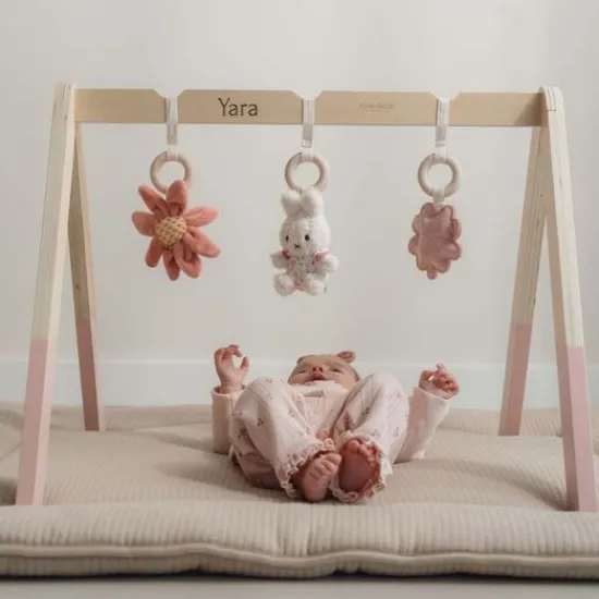 Kraamcadeau Babygym - Lucky Blossom - Nijntje x Little Dutch