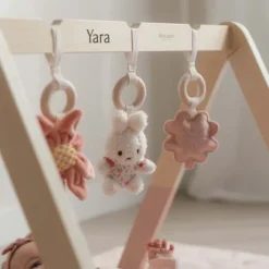 Kraamcadeau Babygym - Lucky Blossom - Nijntje x Little Dutch