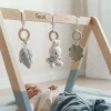Kraamcadeau Babygym - Lucky Leaves - Nijntje x Little Dutch