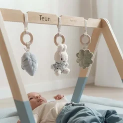 Kraamcadeau Babygym - Lucky Leaves - Nijntje x Little Dutch