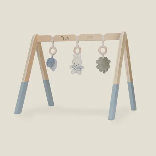 Kraamcadeau Babygym - Lucky Leaves - Nijntje x Little Dutch
