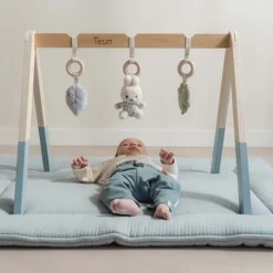 Kraamcadeau Babygym - Lucky Leaves - Nijntje x Little Dutch