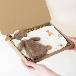 Kraamcadeau Brievenbus cadeau - Bear