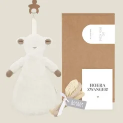Kraamcadeau Brievenbus cadeau - Hoera zwanger!