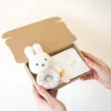 Kraamcadeau Brievenbus cadeau - Nijntje rammelaar