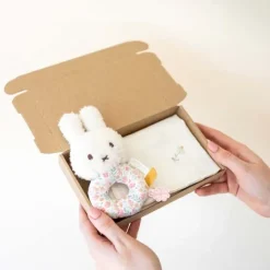 Kraamcadeau Brievenbus cadeau - Nijntje rammelaar