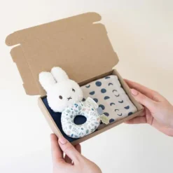 Kraamcadeau Brievenbus cadeau - Nijntje rammelaar