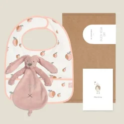 Kraamcadeau Brievenbus cadeau - Pink