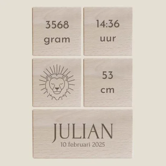 Kraamcadeau Geboorteblokken -Leeuw