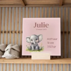 Kraamcadeau Geboortetegeltje - Olifant