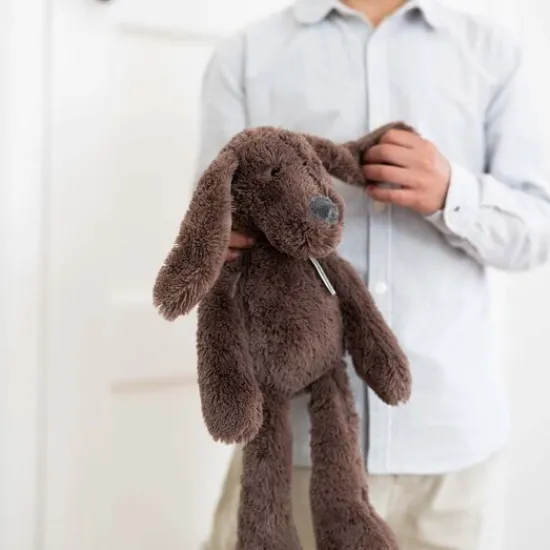Kraamcadeau Happy Horse Hond