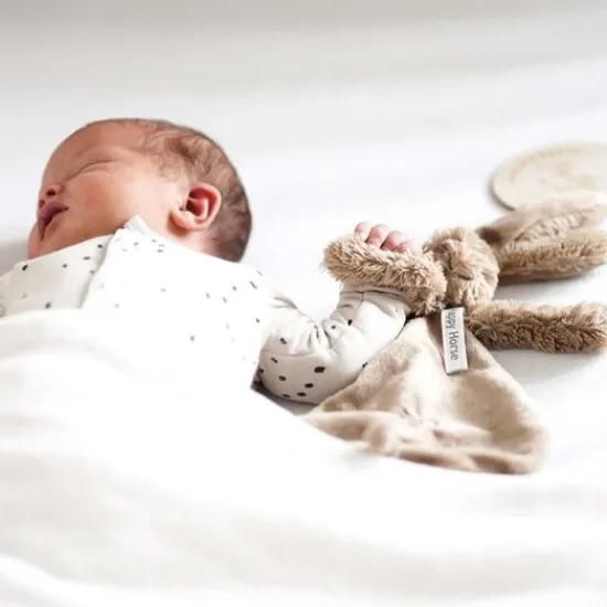 Kraamcadeau Happy HorseRabbit Richie tutteldoek met naam