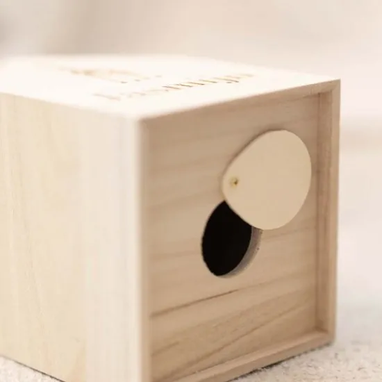 Kraamcadeau Houten spaarpot met naam