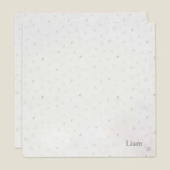 Kraamcadeau Hydrofiele doeken Jollein - Lovely Birds- 2 stuks