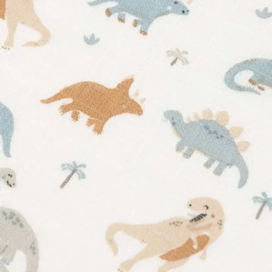 Kraamcadeau Koffer - Dino