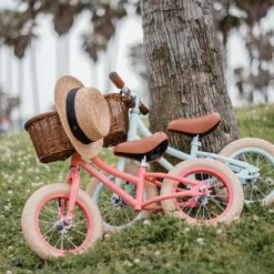 Kraamcadeau Loopfiets Coral - Banwood