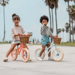 Kraamcadeau Loopfiets Coral - Banwood
