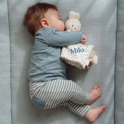 Kraamcadeau Nijntje knuffeldoekje - Little Dutch