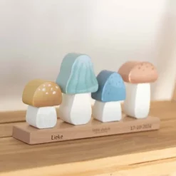 Kraamcadeau Stapelaar - Little Dutch